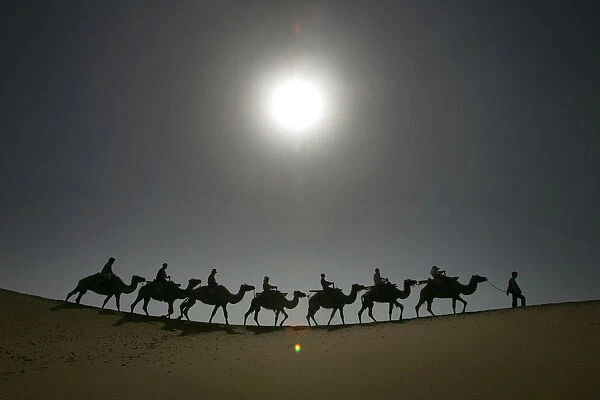 Tourists travel on camels in Tengeri Desert