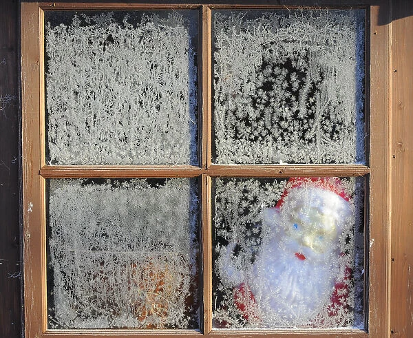 A toy Santa Claus is seen through the frosted window of a garden shed near Boroughbridge