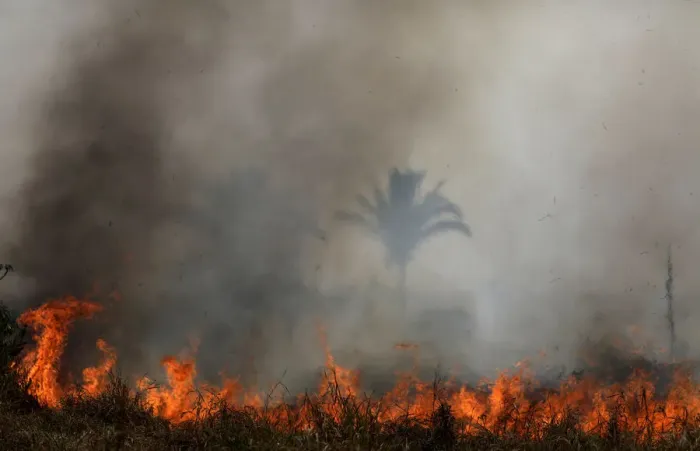 Framed Print : Tract of the Amazon jungle burns as it is cleared by loggers and farmers in Porto Velho