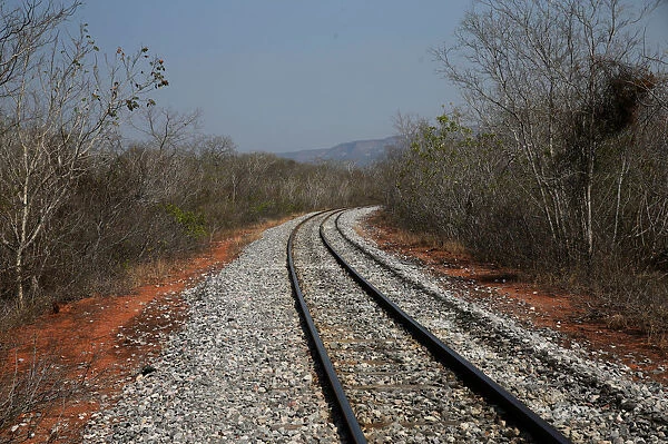 Train tracks that link Santa Cruz and Corumba, Brazil are seen in an area where wildfires