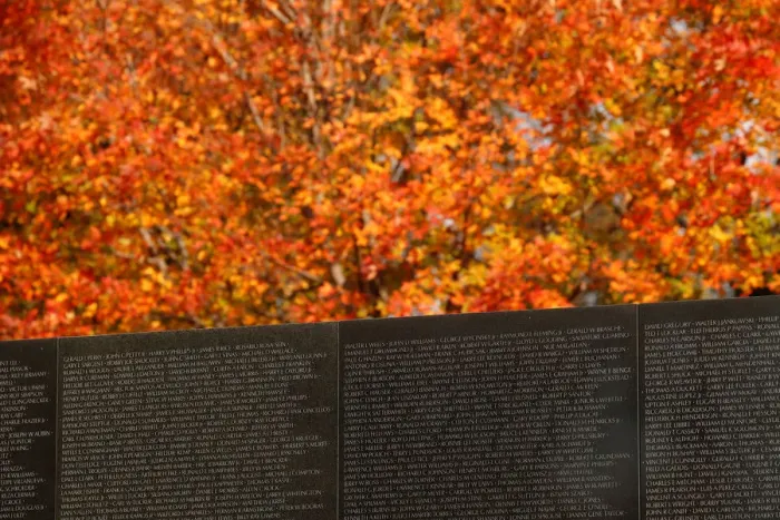 Framed Print : A tree in peak color beside Vietnam Veterans Memorial before Veterans Day in Washington