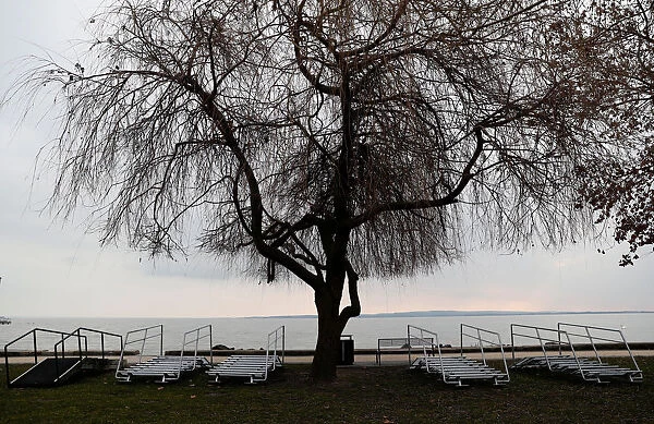 Tree is seen on the shore of Lake Balaton in Keszthely
