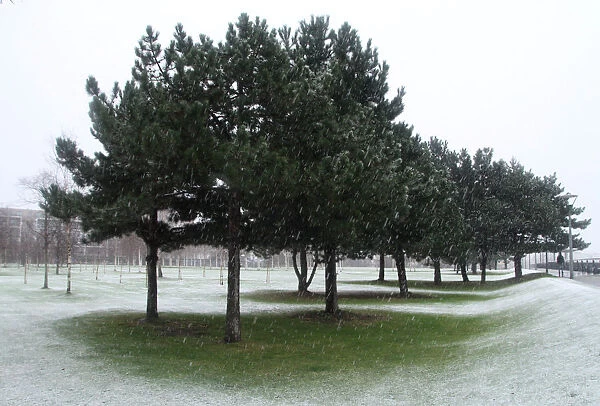 Trees protect a small patch of grass as the snow falls in Thames Barrier Park, London