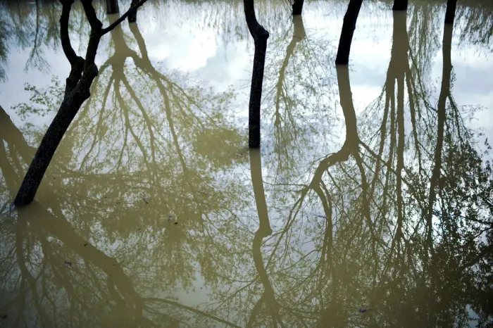 Framed Print : Trees are reflected in flood waters from the River Ebro Framed Print : Trees are reflected in flood waters from the River Ebro