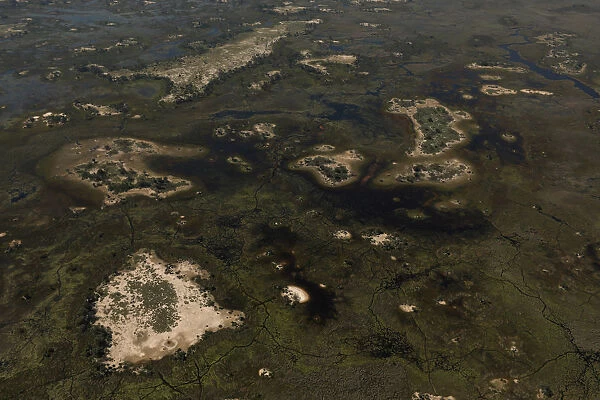 Trees stand on islands as water begins to fill the Okavango Delta