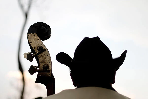The tuning machines of a double bass are seen as a man in a hat performs at Garibaldi