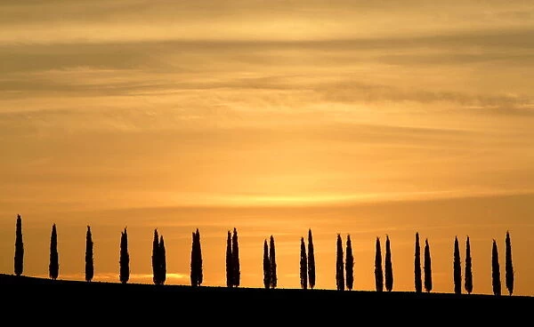 A typical landscape in the Val d Orcia close to the Tuscan town of Montalcino