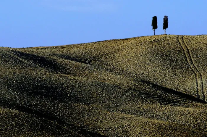Framed Print : A typical landscape in the Val d Orcia close to the Tuscan town of Montalcino Framed Print : A typical landscape in the Val d Orcia close to the Tuscan town of Montalcino