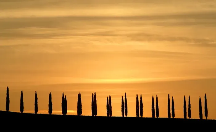 Framed Print : A typical landscape in the Val d Orcia close to the Tuscan town of Montalcino Framed Print : A typical landscape in the Val d Orcia close to the Tuscan town of Montalcino