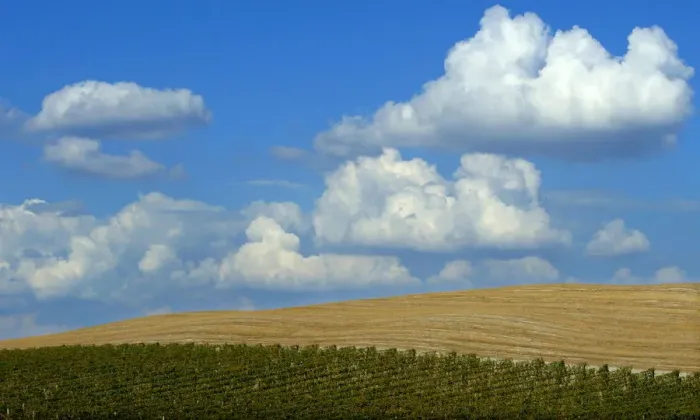 Framed Print : A typical landscape in the Val d Orcia close to the Tuscan town of Montalcino Framed Print : A typical landscape in the Val d Orcia close to the Tuscan town of Montalcino