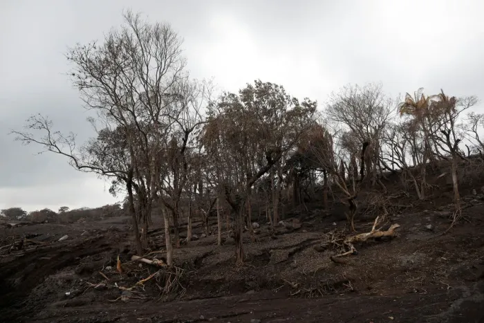 Framed Print : A view of an area affected by a lahar from Fuego volcano at El Rodeo