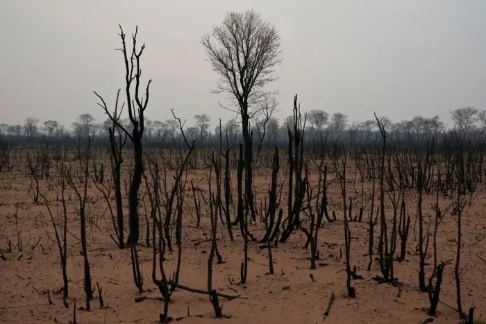 Framed Print : A view shows a burned forest at the Nembi Guasu conservation area in the Charagua
