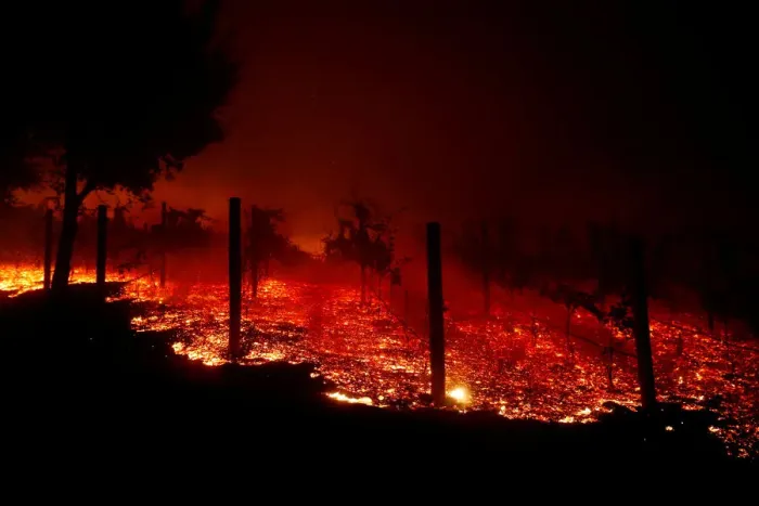 Framed Print : A vineyard burns overnight during a wildfire that destroyed dozens of homes in Thousand Framed Print : A vineyard burns overnight during a wildfire that destroyed dozens of homes in Thousand