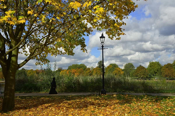 A visitor views the autumn colours in Hyde Park in central London