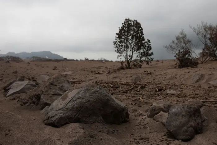 Framed Print : Volcanic rocks are seen after the eruption of the Fuego volcano at El Rodeo in Escuintla Framed Print : Volcanic rocks are seen after the eruption of the Fuego volcano at El Rodeo in Escuintla