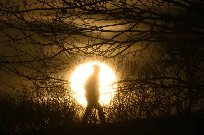 Framed Print : A walker is silhouetted in front of the setting sun on Primrose Hill in London Framed Print : A walker is silhouetted in front of the setting sun on Primrose Hill in London