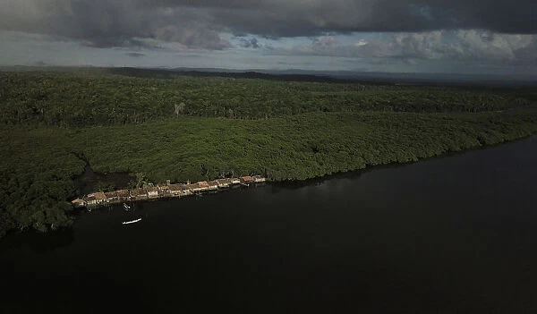 The Wider Image: Brazils mangroves on the front line of climate change