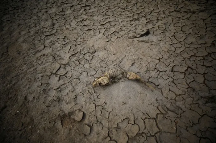 Framed Print : The Wider Image: Cape Town dreads Day Zero when taps will run dry Framed Print : The Wider Image: Cape Town dreads Day Zero when taps will run dry