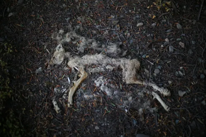 Framed Print : The Wider Image: Chiles tiny Til Til faces big trash problem Framed Print : The Wider Image: Chiles tiny Til Til faces big trash problem