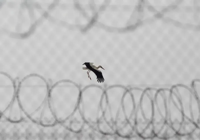 Framed Print : The Wider Image: In Hungary, one fence comes down, another goes up