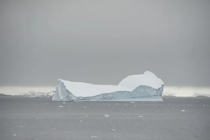 Framed Print : The Wider Image: Journey to Antarctica: seals, penguins and glacial beauty