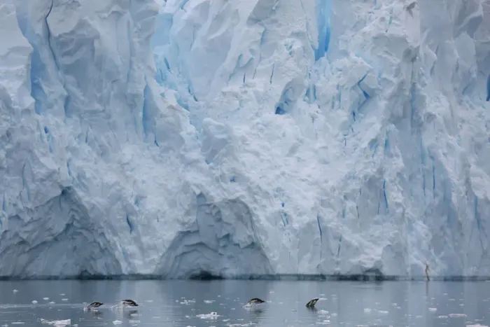 Framed Print : The Wider Image: Journey to Antarctica: seals, penguins and glacial beauty Framed Print : The Wider Image: Journey to Antarctica: seals, penguins and glacial beauty