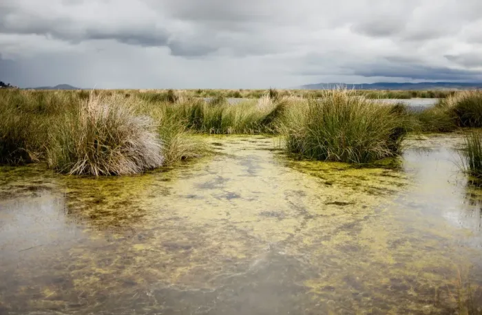 Framed Print : The Wider Image: Lake Titicaca, once considered Andean deity, faces pollution threat Framed Print : The Wider Image: Lake Titicaca, once considered Andean deity, faces pollution threat