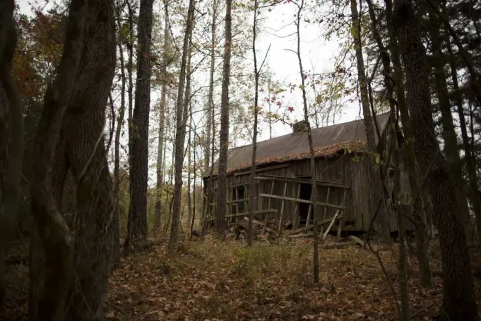 Framed Print : The Wider Image: The Legacy of King Cotton in the American South