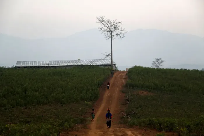 Framed Print : The Wider Image: Myanmar hills embrace silkworms over poppies Framed Print : The Wider Image: Myanmar hills embrace silkworms over poppies