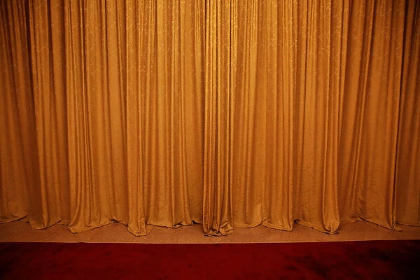 The Wider Image: A peek through the curtains at Chinas two meetings