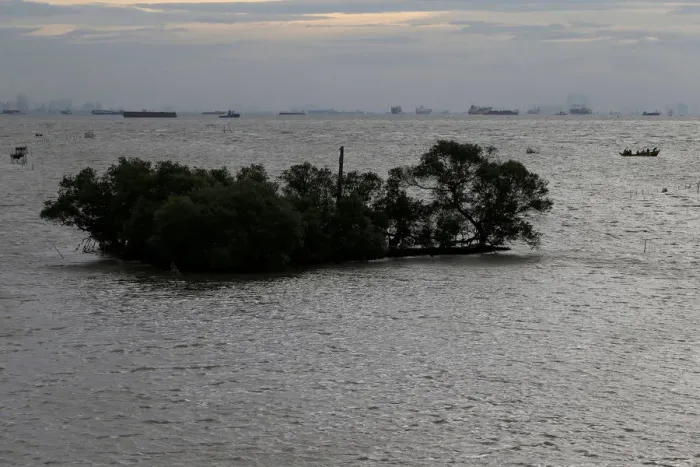 Framed Print : The Wider Image: Sinking shoreline threatens millions in Indonesia Framed Print : The Wider Image: Sinking shoreline threatens millions in Indonesia
