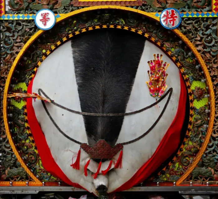 Framed Print : The Wider Image: Taiwans holy pig festival Framed Print : The Wider Image: Taiwans holy pig festival