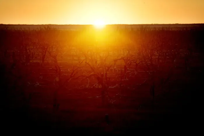 Framed Print : The Wider Image: Thirst turns to anger as Australias mighty river runs dry Framed Print : The Wider Image: Thirst turns to anger as Australias mighty river runs dry