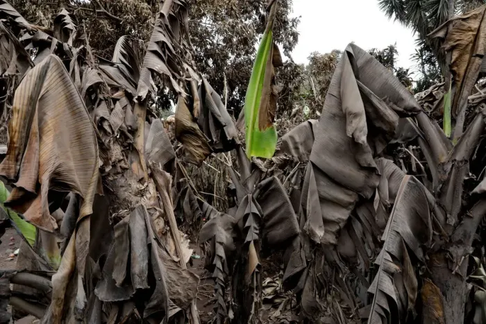 Framed Print : The Wider Image: In volcanos wake, Guatemalan town became a cemetery