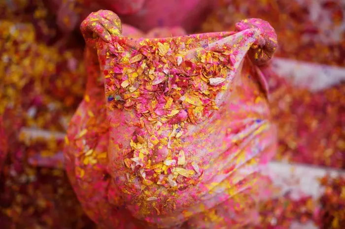 Framed Print : A widow daubed in colours takes part in Holi celebrations in the town of Vrindavan Framed Print : A widow daubed in colours takes part in Holi celebrations in the town of Vrindavan