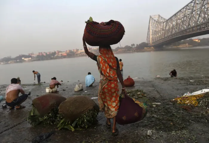 Framed Print : A woman carries sacks of leaves, which will be used to decorate flower bouquets, to Framed Print : A woman carries sacks of leaves, which will be used to decorate flower bouquets, to