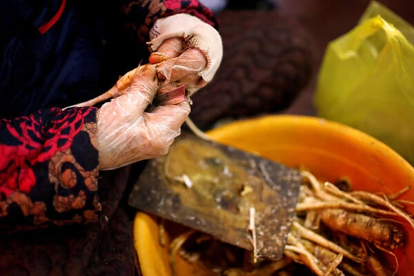 A woman cuts ginseng in a local market in Gangneung