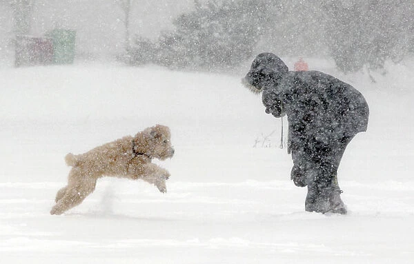 A woman and her dog brave the elements during a winter storm in Halifax, Nova Scotia