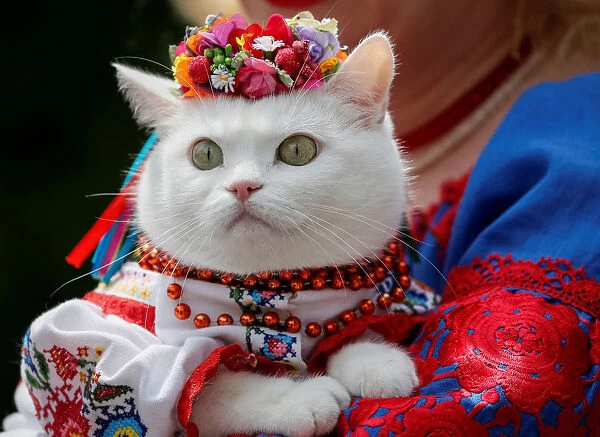 A woman dressed in a traditional Ukrainian embroidered shirt holds her cat as she take