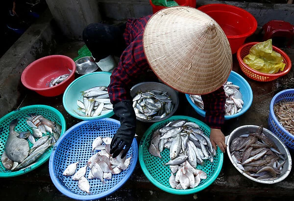 A woman sells fishes at a seafood market in Ha Long Bay