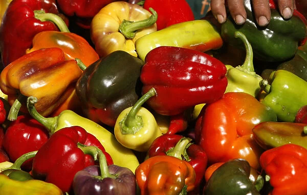 A woman sells peppers at a market in Santa Monica