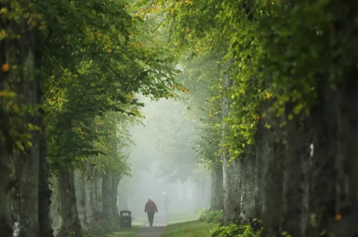 Framed Print : A woman walks through autumn mist at Arundel in Southern England