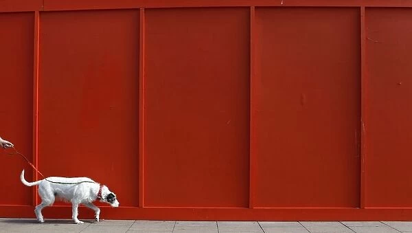 A woman walks her dog past a wall near the seafront in Brighton