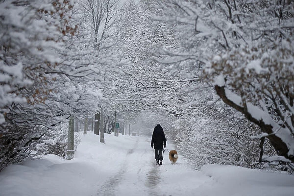 A woman walks a dog along the Rideau Canal during light snowfall in Ottawa