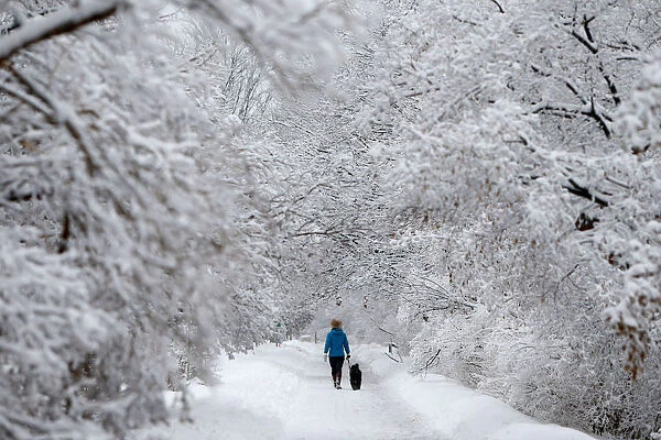 A woman walks a dog on a snow-covered path beside the Rideau Canal in Ottawa