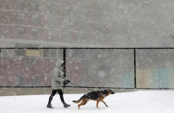 Framed Print : A woman walks a dog in upper Manhattan during a snowstorm in New York City Framed Print : A woman walks a dog in upper Manhattan during a snowstorm in New York City