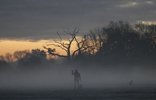 A woman walks dogs through morning mist in Quorn