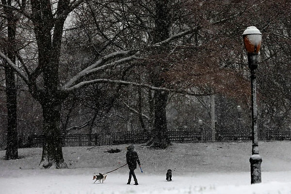 A woman walks dogs in Riverside Park during a snowstorm in upper Manhattan in New York