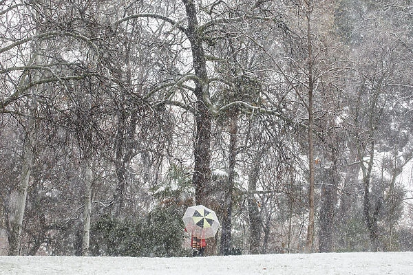 A woman walks during a heavy snowfall in Retiro park in Madrid