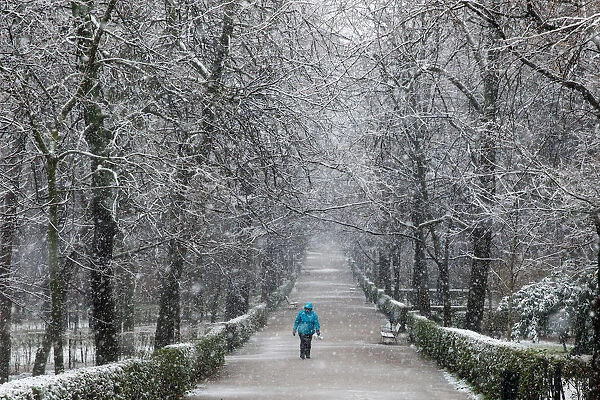 A woman walks during a heavy snowfall in Retiro park in Madrid